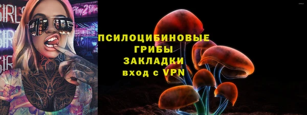 прущие грибы Нязепетровск