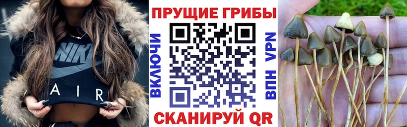 OMG зеркало  купить закладку  Абинск  Галлюциногенные грибы MAGIC MUSHROOMS 